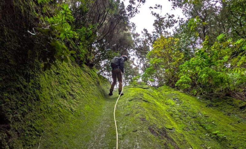 Tenerife: Canyoning Adventure with Hotel Pickup - Key Points