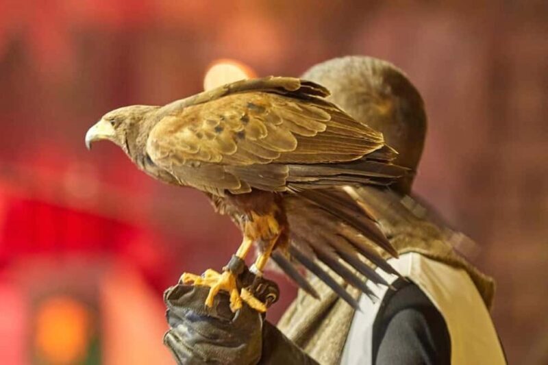 Tenerife: Castillo San Miguel Medieval Show and Banquet - A Closer Look at the Castillo San Miguel Medieval Show