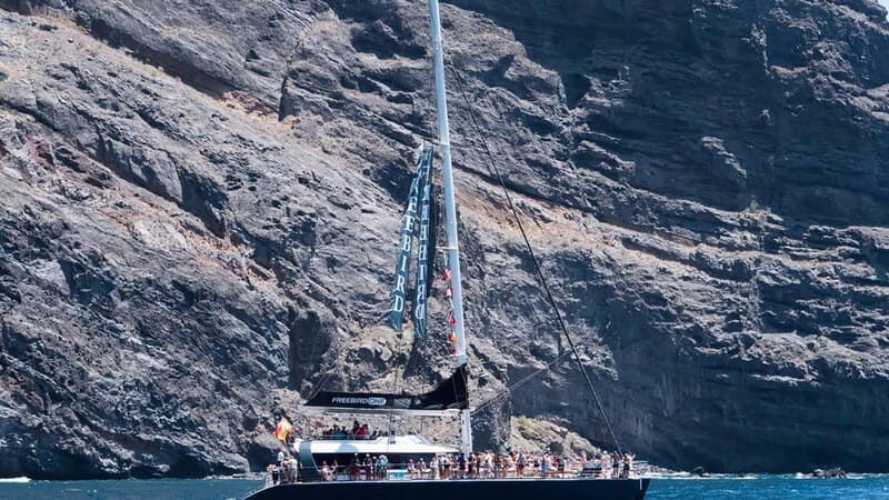 Tenerife: Catamaran Cruise with an Open Bar - What to Expect on This Catamaran Cruise