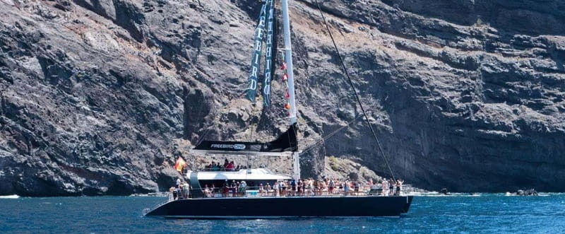 Tenerife: Catamaran Cruise with an Open Bar - Is This Tour Worth It?