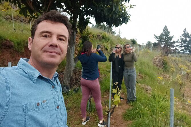 Tenerife Culture, History and Wine Private Tour - Key Points