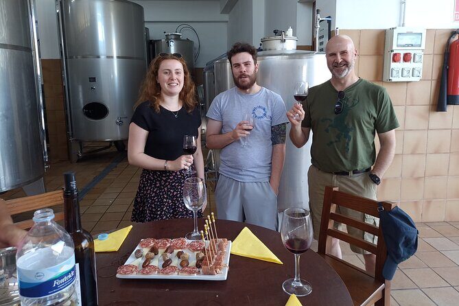 Tenerife Culture, History and Wine Private Tour - What to Expect from This Tenerife Tour