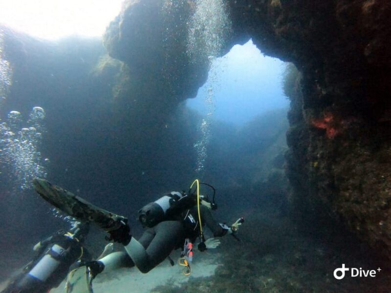 Tenerife - Discover Scuba Diving Experience with Instructor - What Is the Tenerife Discover Scuba Diving Experience?