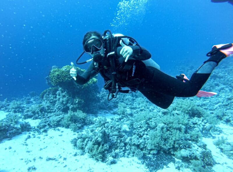 Tenerife - Discover Scuba Diving Experience with Instructor - What is Included and What Should You Bring?