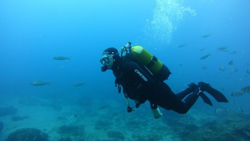 Tenerife: Discover Scuba Diving with Free Photos - What the Photos Mean for You