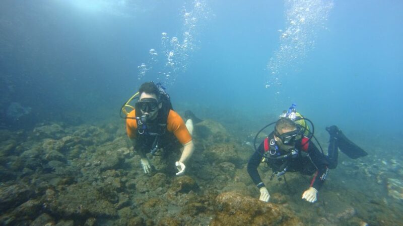 Tenerife: Discover Scuba Diving with Free Photos - Considerations and Practical Tips