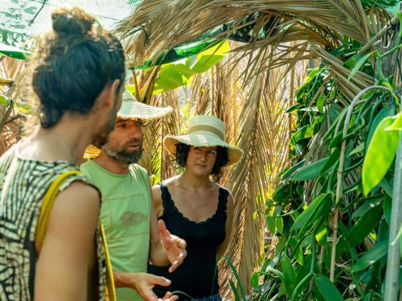 Tenerife: Discover the only vanilla cultivation in Canaries - Key Points