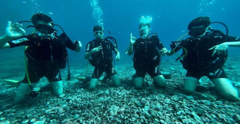 Tenerife : Diving License in one day - Who Is This Experience Best For?