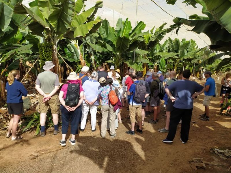 Tenerife: Finca Las Margaritas Banana Plantation Experience - Languages and host support
