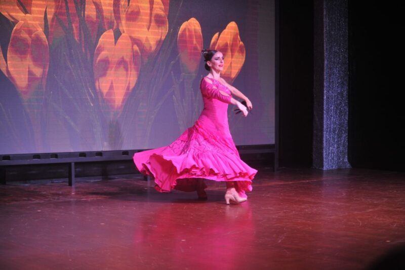 Tenerife: Flamenco Performance at Teatro Coliseo - Ticket Options and Value