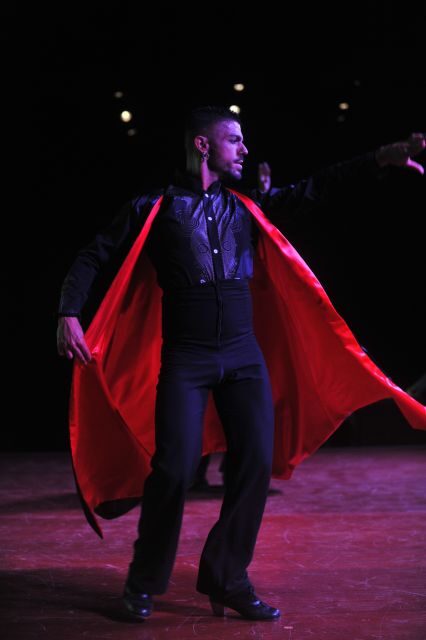Tenerife: Flamenco Performance at Teatro Coliseo - Practical Details: Timing and Logistics