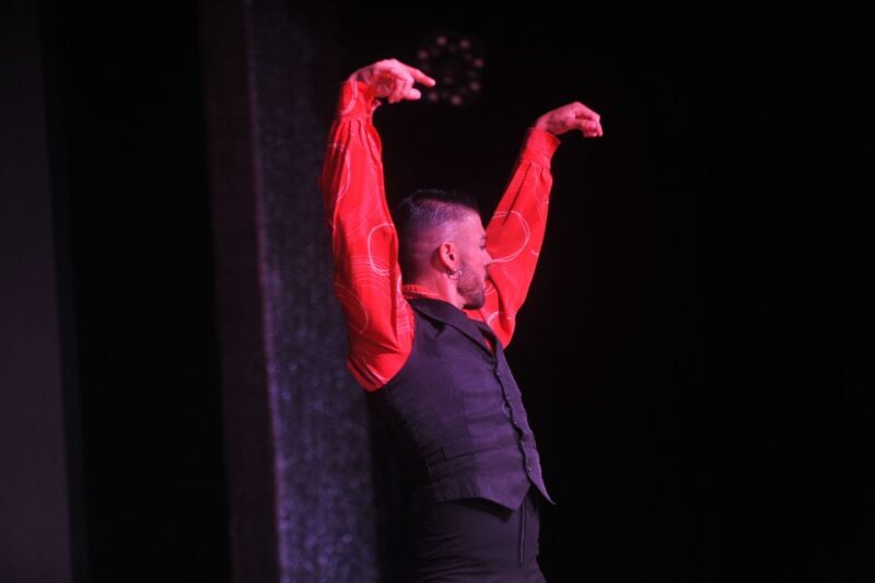 Tenerife: Flamenco Performance at Teatro Coliseo - What Travelers Are Saying