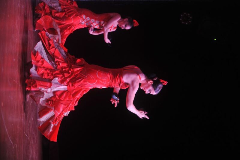 Tenerife: Flamenco Performance at Teatro Coliseo - Final Thoughts