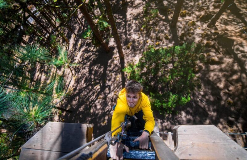 Tenerife: Forestal Park Tenerife Entry Ticket - Booking and Practicalities