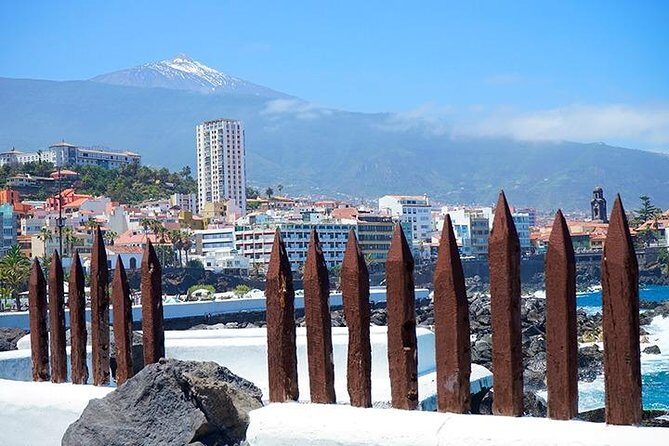 Tenerife Full Island Tour - Who Should Book This Tour?