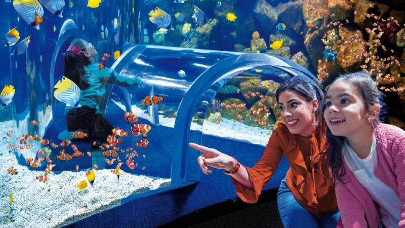 Tenerife: Gran Canaria Full-Day Guided Tour with Aquarium - The Full Experience: What You Can Expect from This Tour