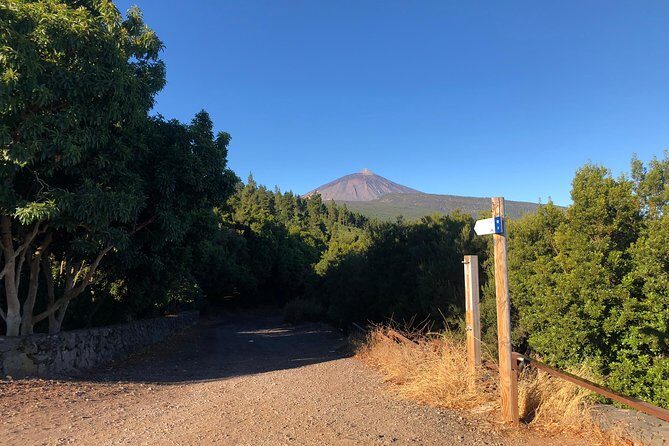 Tenerife Grand Tour: including Teide National Park and Masca - What You’ll Love About the Tour