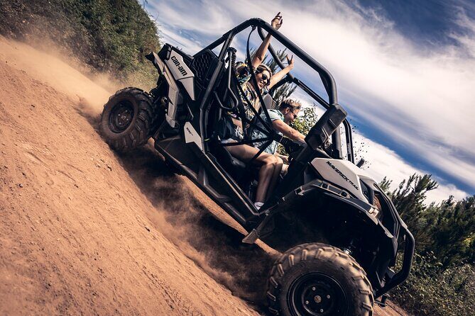 Tenerife Guided Buggy Discovery Tour Around Mount Teide - Key Points