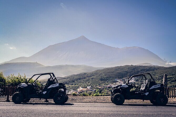 Tenerife Guided Buggy Discovery Tour Around Mount Teide - Who Will Love This Tour?