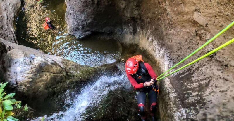Tenerife: Guided Canyoning Experience - Key Points