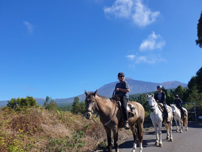 Tenerife: Guided Horseback Riding Tour to the Lomo Forest - A Pleasant Ride Through Tenerife’s Nature