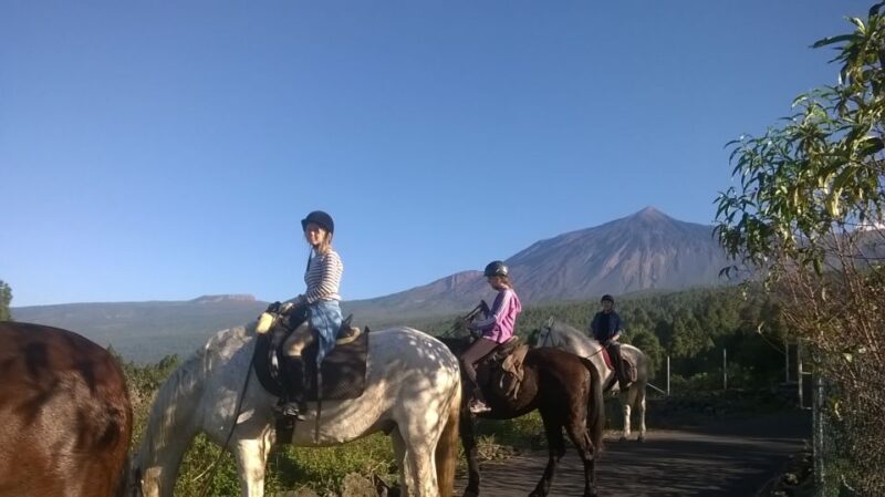 Tenerife: Guided Horseback Riding Tour to the Lomo Forest - FAQ
