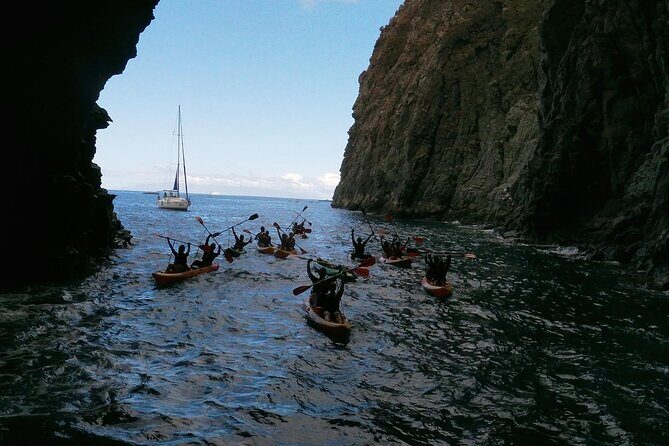 Tenerife: Guided kayak tour with snorkeling in a marine reserve - Who Is This Tour Best For?