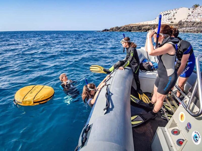 Tenerife: Guided Snorkeling Tour Incl. Gear - Key Points