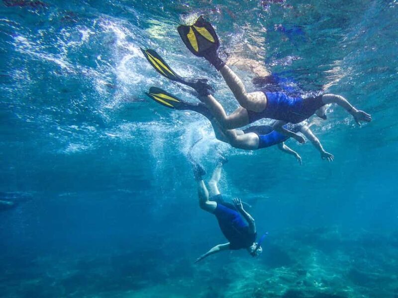 Tenerife: Guided Snorkeling Tour Incl. Gear - What This Tour Is All About
