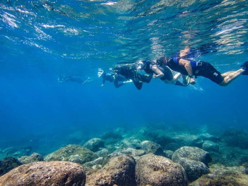 Tenerife: Guided Snorkeling Tour Incl. Gear - Price and Value