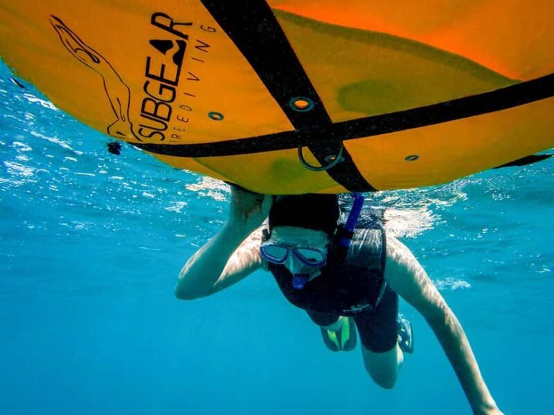 Tenerife: Guided Snorkeling Tour Incl. Gear - Who This Tour Will Suit