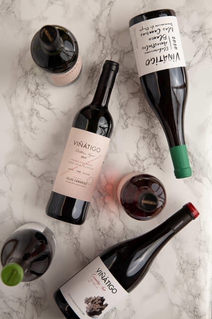 Tenerife: Guided tour with tasting of 6 wines - Who Will Enjoy This Tour?