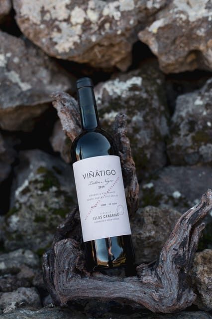 Tenerife: Guided tour with tasting of 6 wines - Final Thoughts