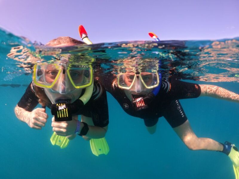 Tenerife: Half-Day Snorkeling Tour - Exploring the Details of the Tenerife Snorkeling Tour