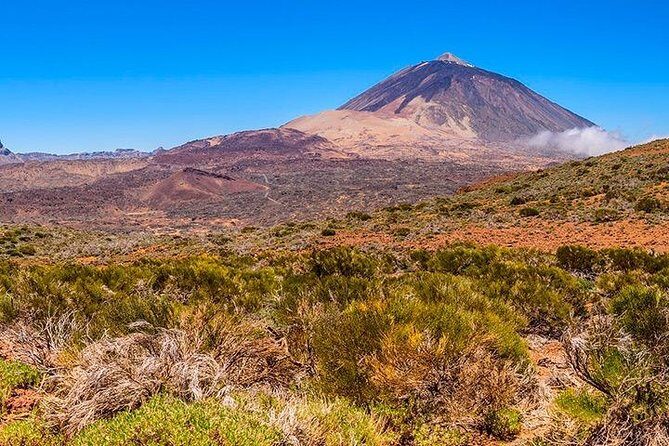 Tenerife Highlights Full-Day Tour - What to Expect from the Tour
