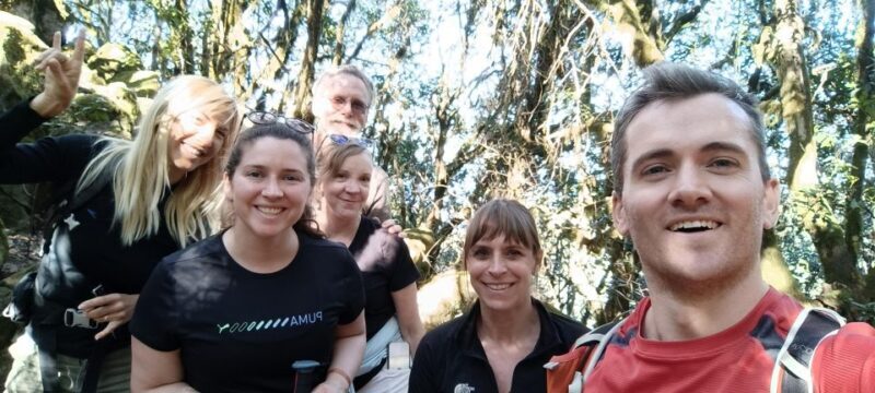 Tenerife: Hike Above Masca in Enchanted Forest with Pick-up - The Guided Experience and Photos