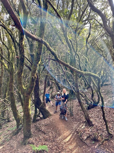 Tenerife: Hike Above Masca in Enchanted Forest with Pick-up - The Logistics: What’s Included and What’s Not