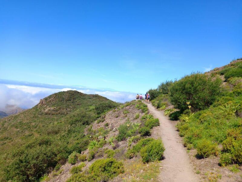 Tenerife: Hiking Above the Village of Masca - Key Points