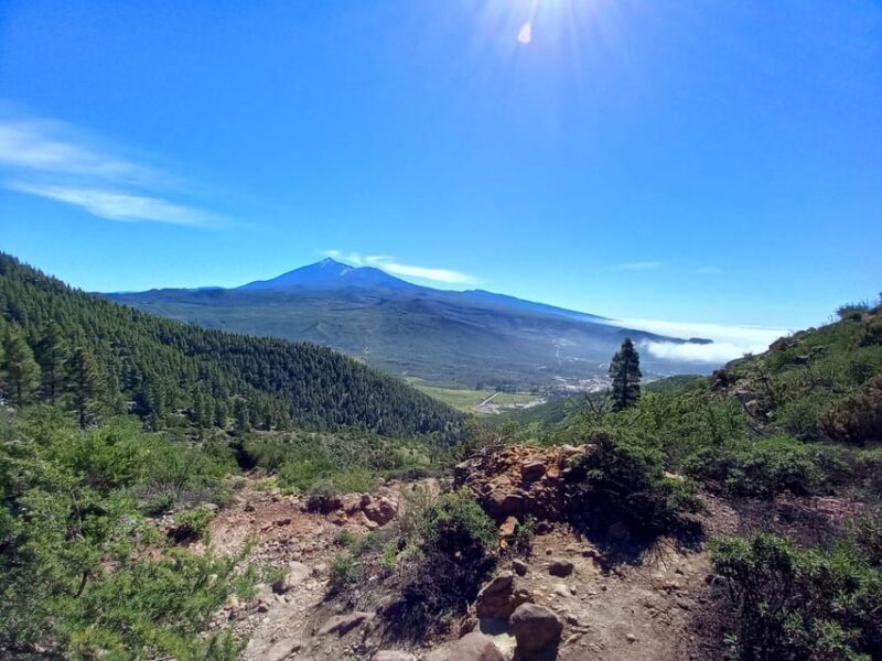 Tenerife: Hiking Above the Village of Masca - A Closer Look at the Experience