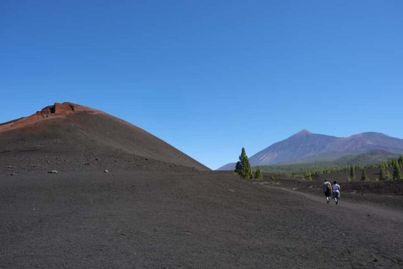 Tenerife: Hiking among volcanoes in the Chinyero Nature Reserve - An introduction to Tenerife’s volcanic allure