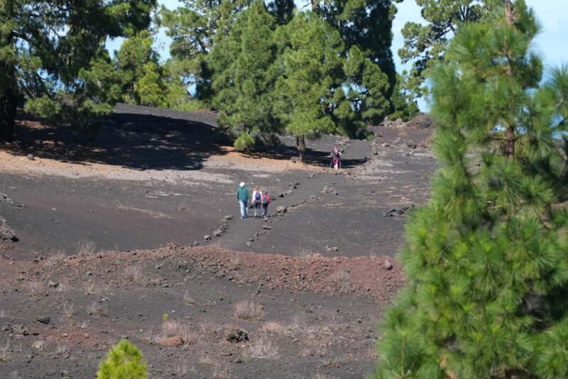 Tenerife: Hiking among volcanoes in the Chinyero Nature Reserve - What travelers say