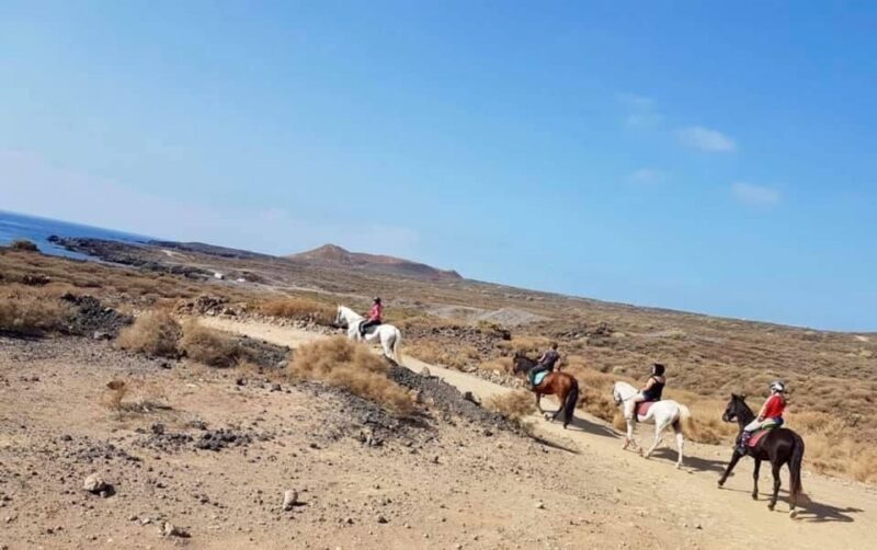 Tenerife: Horseback Ride with Instructor - Key Points