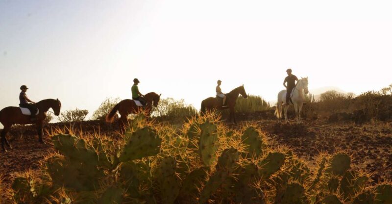 Tenerife: Horseback Ride with Instructor - A Genuine Look at the Experience