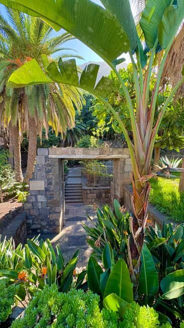 Tenerife: Icod de los Vino, Garachico & Guachinche Tour - Exploring Tenerifes North: What to Expect