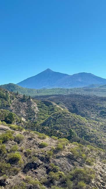 Tenerife: Icod de los Vino, Garachico & Guachinche Tour - Who Should Consider This Tour?