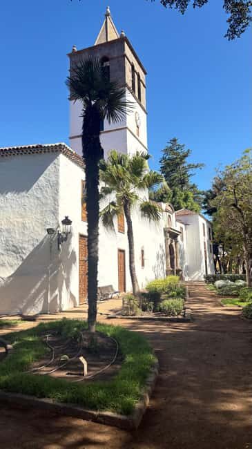 Tenerife: Icod de los Vino, Garachico & Guachinche Tour - Final Thoughts