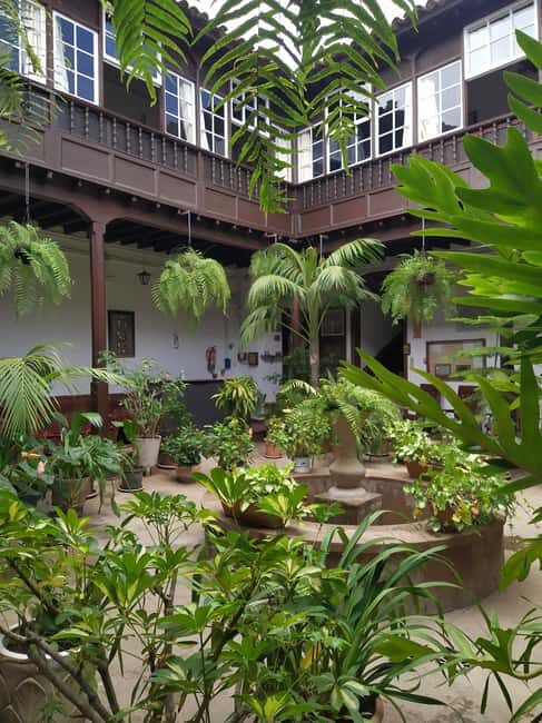 Tenerife: Icod de los Vinos Guided Walking Tour - Key Points