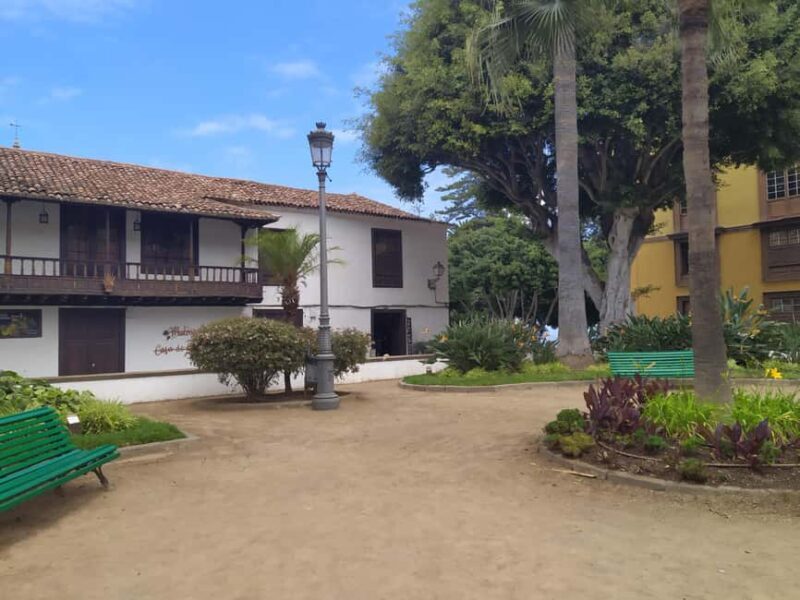 Tenerife: Icod de los Vinos Guided Walking Tour - The Experience Provider and Similar Tours