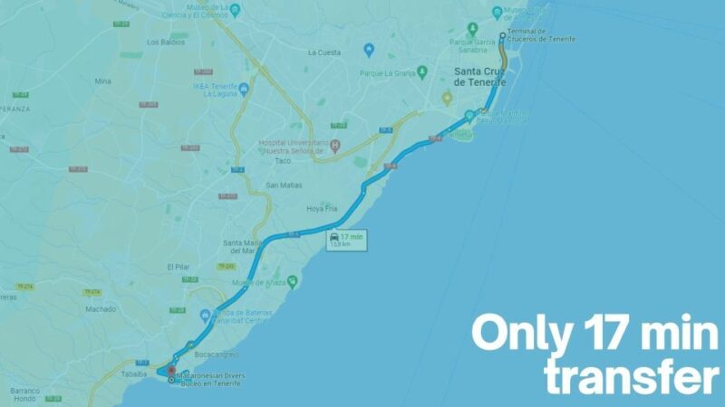 Tenerife: Introductory Dive for Cruise Ship Passengers - Is It Worth the Price?