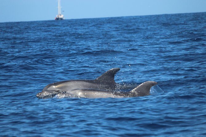 Tenerife : Jet Ski Tour with option for Quad Trip - Practical Details and Logistics